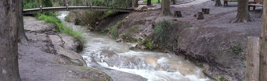 HaShofet River and Ein Emi: 11 Reviews, Map - Northern District HaZafon,  Israel | AllTrails