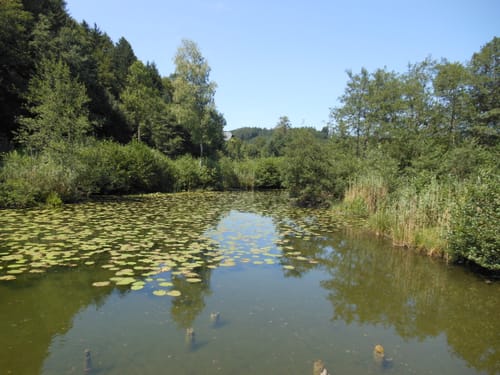 Bodensee-Königssee-Radweg Etappe 7: Rohrdorf - Oberteisendorf