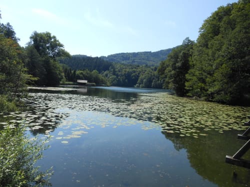 Teisendorf nach Höglwörth