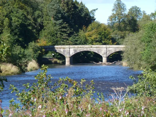 10 Best Hikes And Trails In Clyde Valley Woodlands National Nature