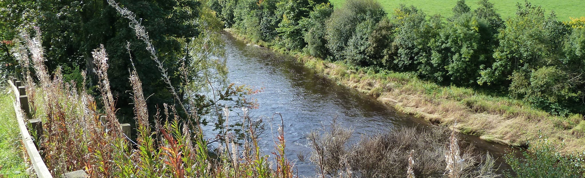 River Clyde Walkway Mauldslie Bridge to Crossford Bridge, South