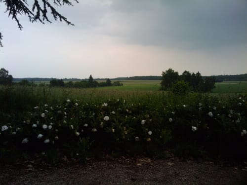 Darmstadter Oberfeldweg