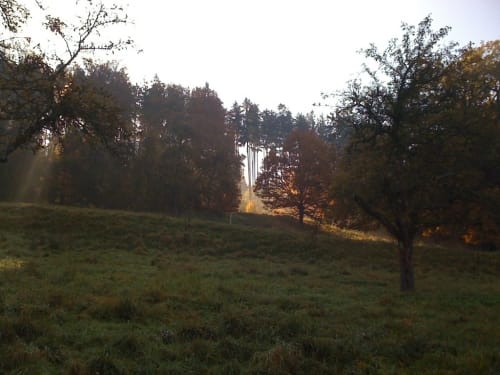 Weilheim Rundweg 13
