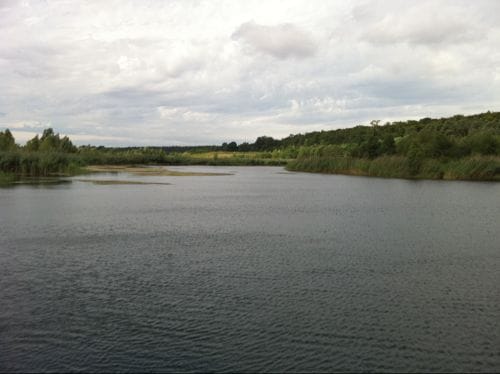 Langener Waldsee und Walldorfer Badesee ab Langen