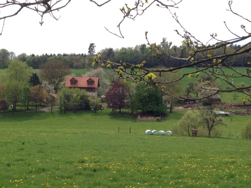 Galgenbergtour (Premiumwanderweg)
