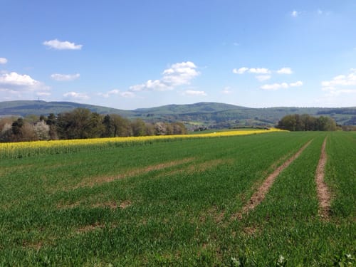 Galgenbergtour (Premiumwanderweg)