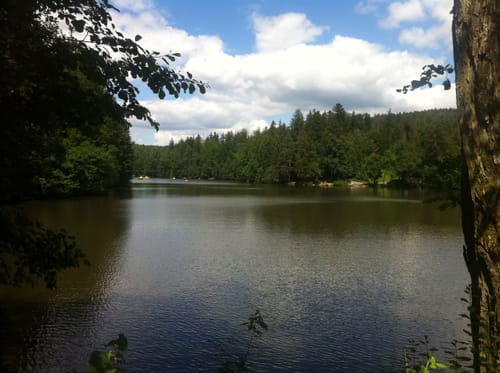 Durch das Strümpfelbachtal nach Ebnisee