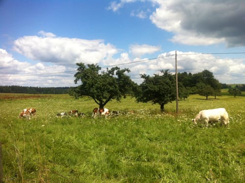 Rundwanderung Aichstruter Stausee und Ebnisee