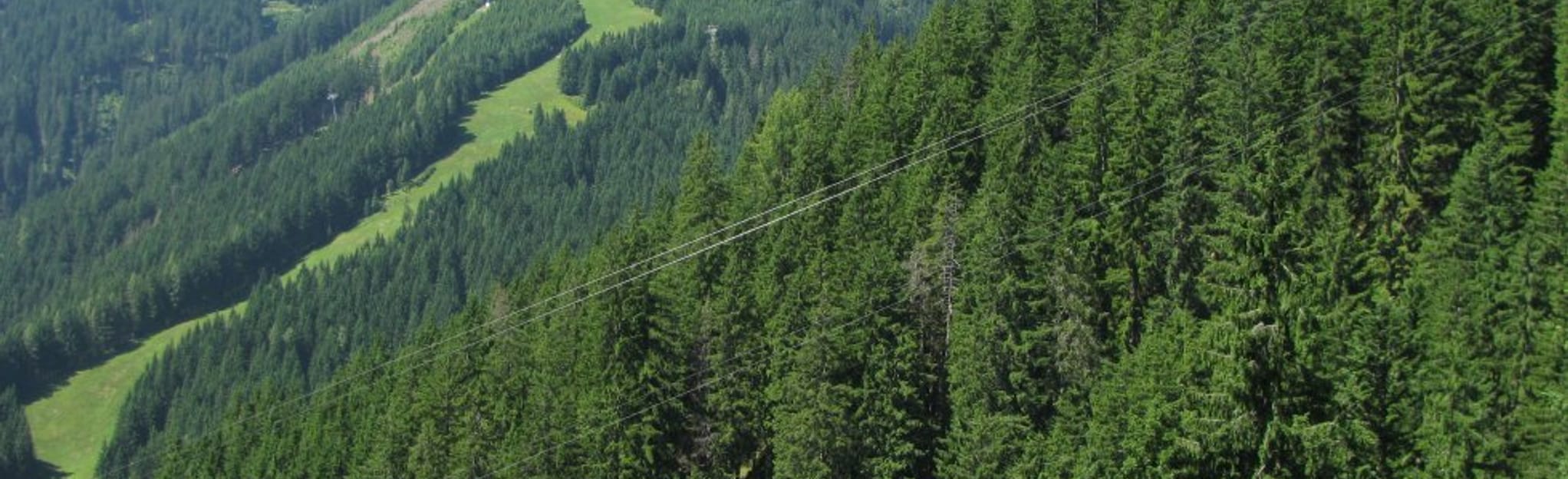 jobbörse zell am see