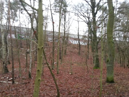 Jagdschloss bei Stern