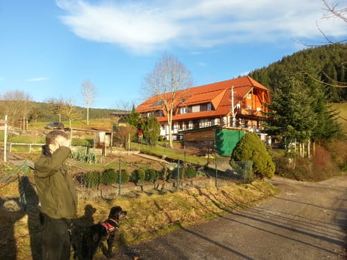 Rötenbach - Müllerswald