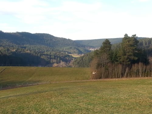 Ostweg Etappe 5: Ödenwald - Aichhalden