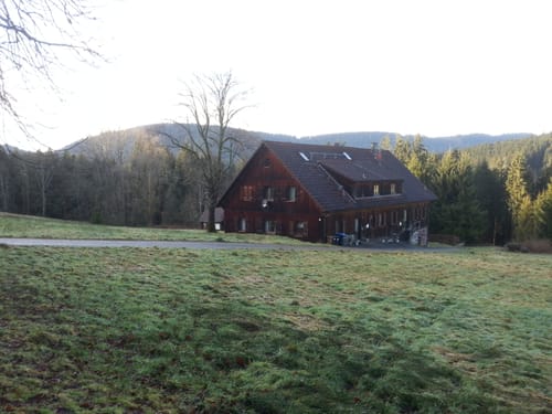 Rötenbach - Müllerswald