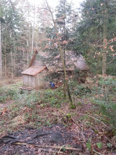 Bad Teinach Rundweg