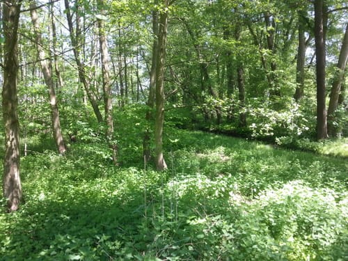Rund um den Schwielowsee bei Potsdam