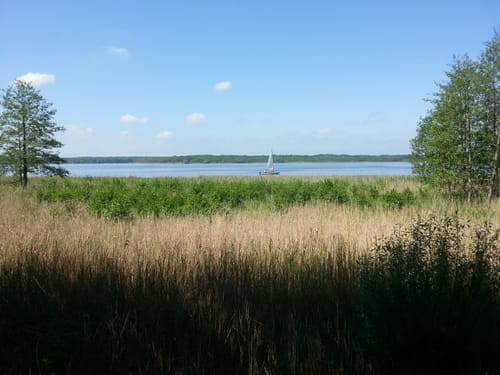 Rund um den Schwielowsee bei Potsdam