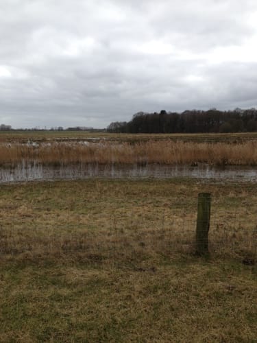 Rund ums Alfsee-Reservebecken
