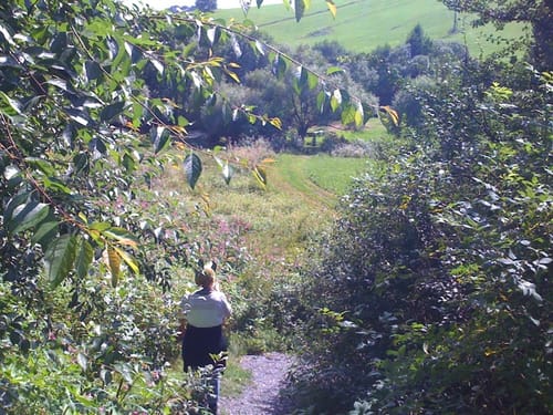GEHfühlsweg Mitternach (verkürzte Variante)