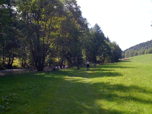 GEHfühlsweg Mitternach (verkürzte Variante)