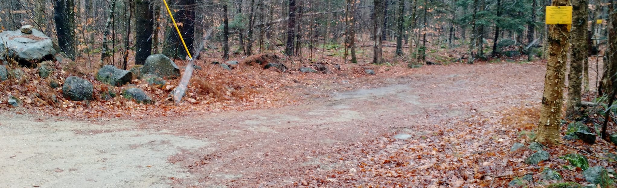 Kendall Lane Trail, New Hampshire 5 Reviews, Map AllTrails