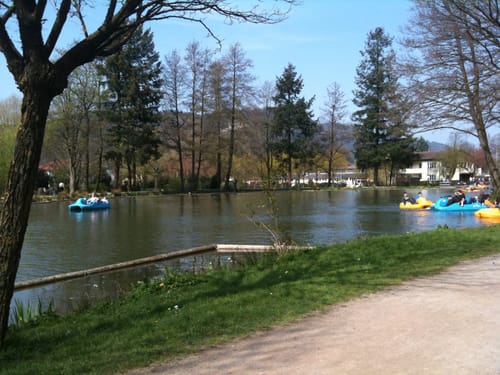 Entlang der Elz über Waldkirch
