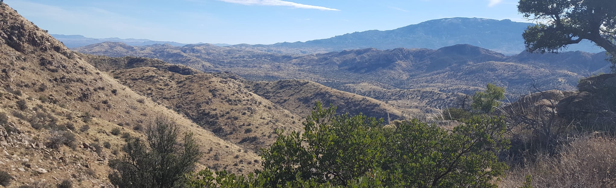 Molino Basin via Arizona Trail: 188 Reviews, Map - Arizona | AllTrails