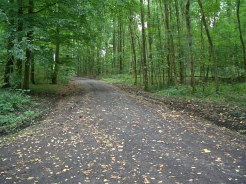 Laubach Nordic-Walking-Route 3: Engelsburg