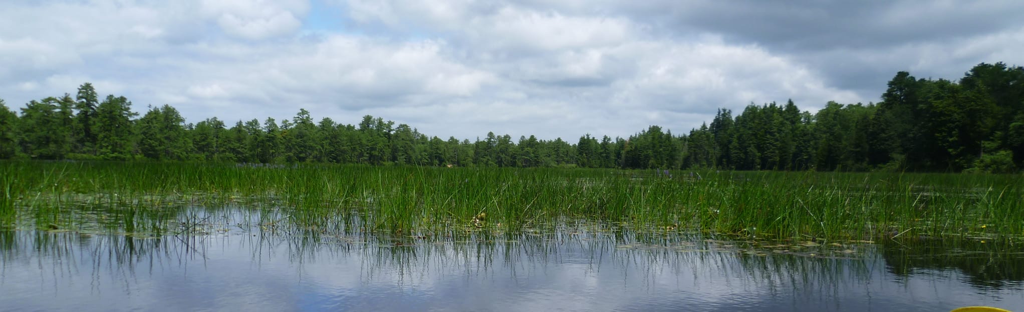 Batsto River Quaker Bridge to Batsto Village, New Jersey 34 Reviews