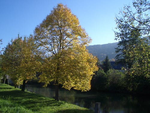 Ebermannstadt – Wiesenthau