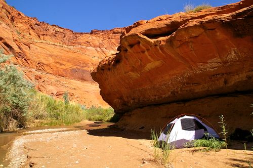 are dogs allowed in paria canyon