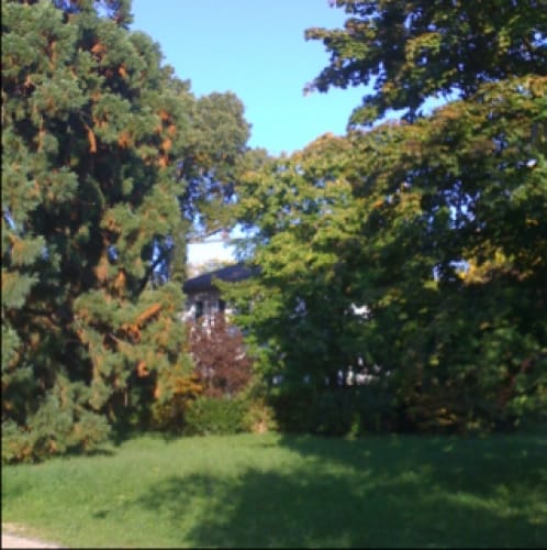 Darmstadter Oberfeldweg