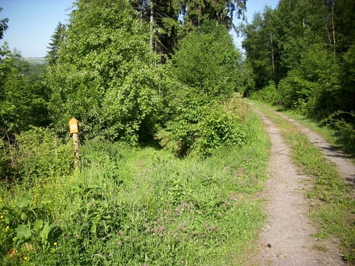 Pilgerpfade zwischen Diemel und Weser