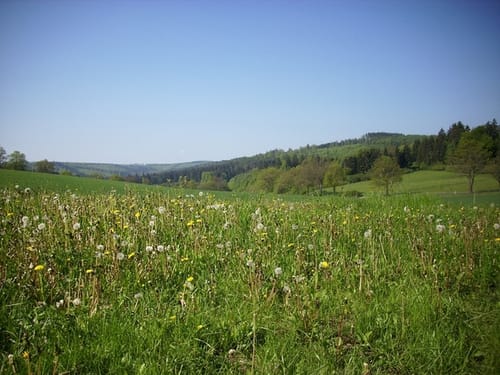 Waldspaziergang bei Schloss Ludwigseck