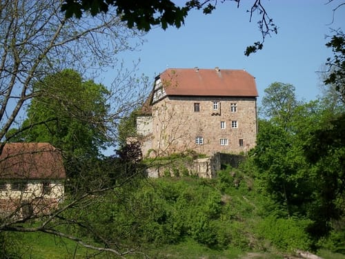 Waldspaziergang bei Schloss Ludwigseck