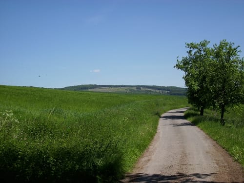 Pilgerpfade zwischen Diemel und Weser
