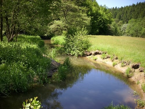 Pilgerpfade zwischen Diemel und Weser