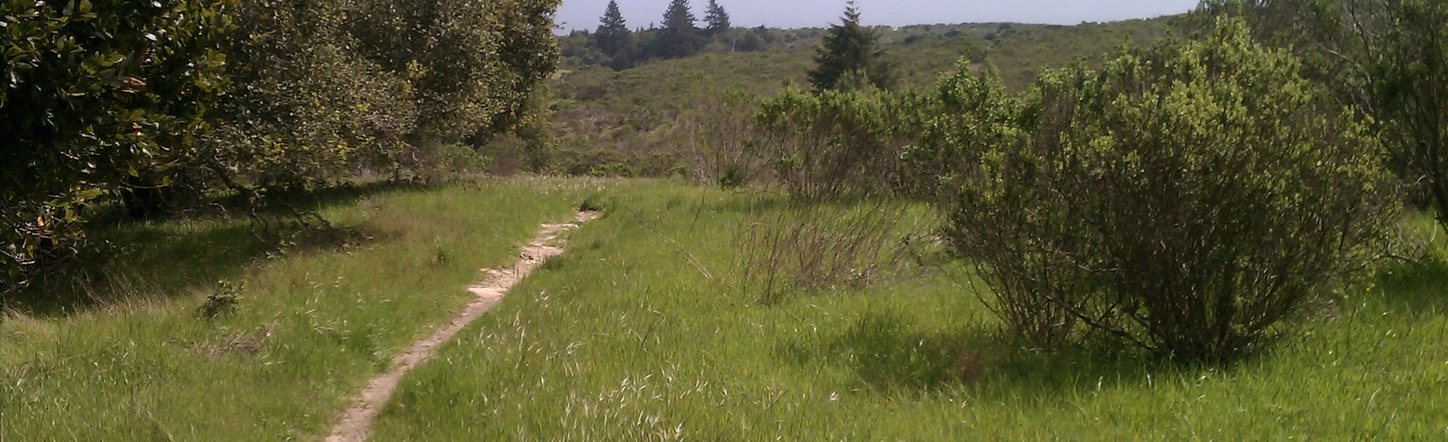 Wilder Ranch Downhill Eucalyptus - EyJidWNrZXQiOiJhc3NldHMuYWxsdHJhaWxzLmNvbSIsImtleSI6InVwbG9hZHMvcGhvdG8vaW1hZ2UvMTY3NjgyMDUvY2Q3ZGE5Y2YzNTJjNGE5NGFjMWFkM2MzZmE5ZjY5ZWMuanBnIiwiZWRpdHMiOnsidG9Gb3JtYXQiOiJqcGVnIiwicmVzaXplIjp7IndpZHRoIjoyMDQ0LCJoZWlnaHQiOjYyNCwiZml0IjoiY292ZXIifSwicm90YXRlIjpudWxsLCJqcGVnIjp7InRyZWxsaXNRdWFudGlzYXRpb24iOnRydWUsIm92ZXJzaG9vdERlcmluZ2luZyI6dHJ1ZSwib3B0aW1pc2VTY2FucyI6dHJ1ZSwicXVhbnRpc2F0aW9uVGFibGUiOjN9fX0=