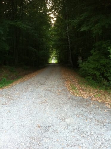 Rundweg Eichhörnchen Burgbernheim