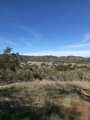 are dogs allowed at santa rosa plateau