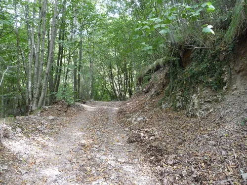 2023 Best Kid Friendly Trails in Parco Regionale dei Monti Picentini