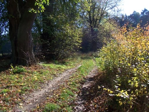 Rund um den Kienberg