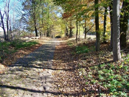 Uckermärker Landrunde Etappe 3: Angermünde - Ringenwalde
