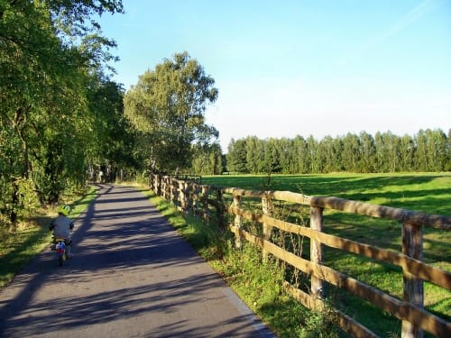 Fläming Skate und Düne