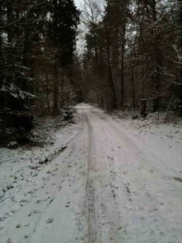 Von Deisenhofen zum Deininger Weiher
