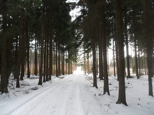 Burgen, Schlösser und alte Klöster (Region Rureifel)
