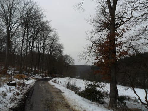 Schumachers Bruchweg (Wenau)