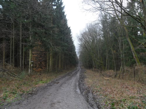 Eifelverein Langerwehe Wanderweg 61