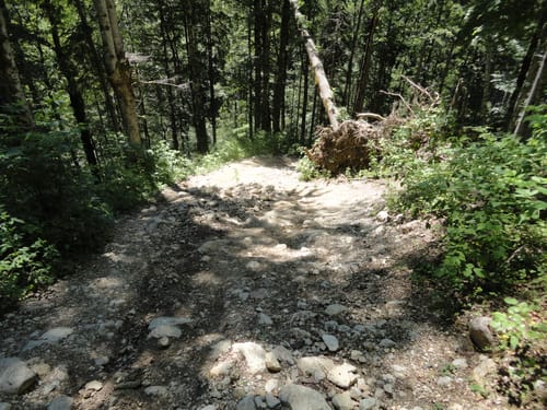 Von Kreuth durch die Langenau - Langenautrail