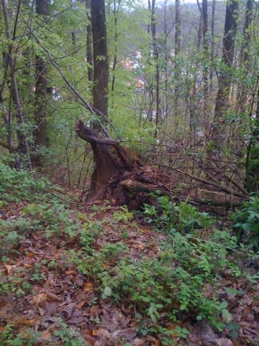 Rund um den Eichelberg
