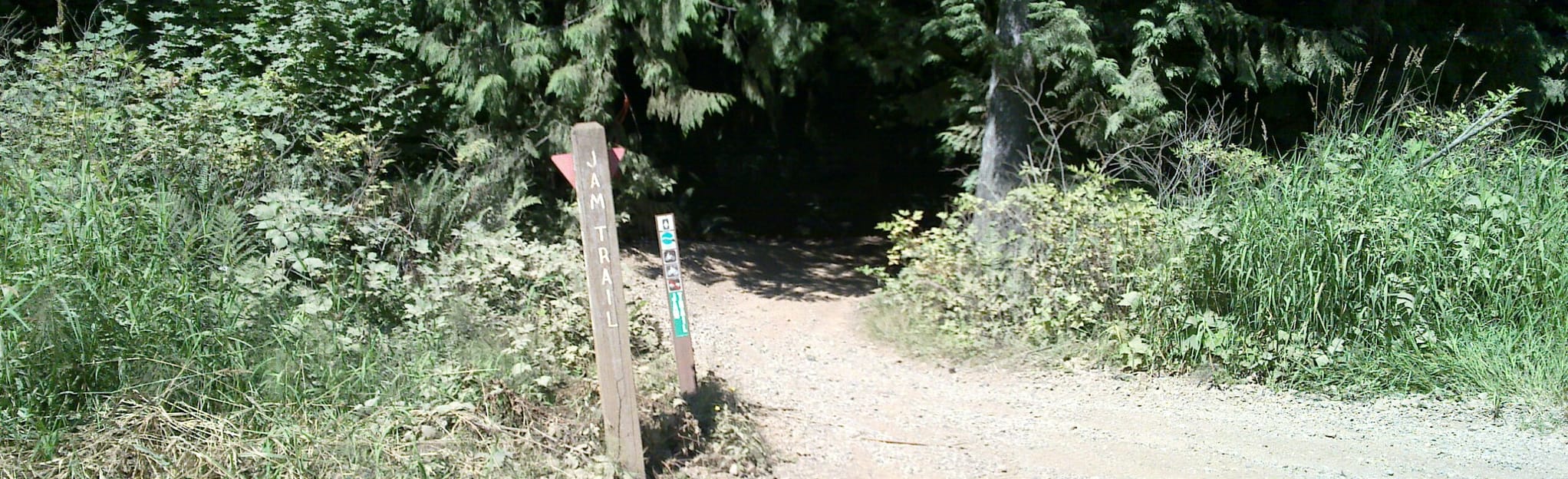 Walker Valley 31 and BR38 OHV Trail 0 Reviews, Map Washington